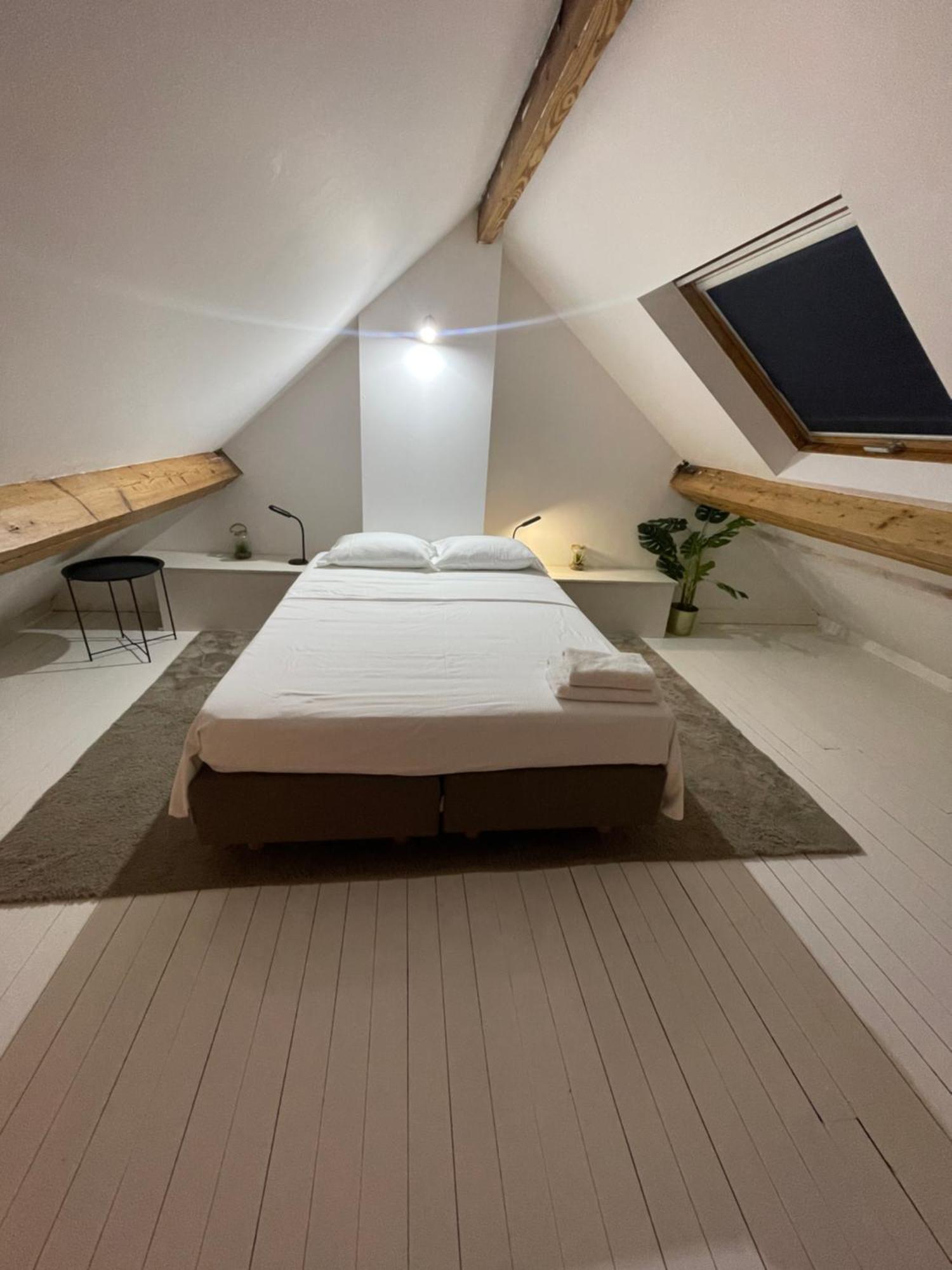 ブリュッセルAttic European Quarterアパートメント エクステリア 写真
